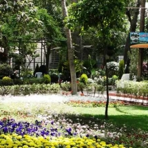 Flowers Festival at Tekyyeh Sulimania - Damascus