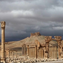 Palmyra-