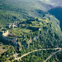 Salah addin castle